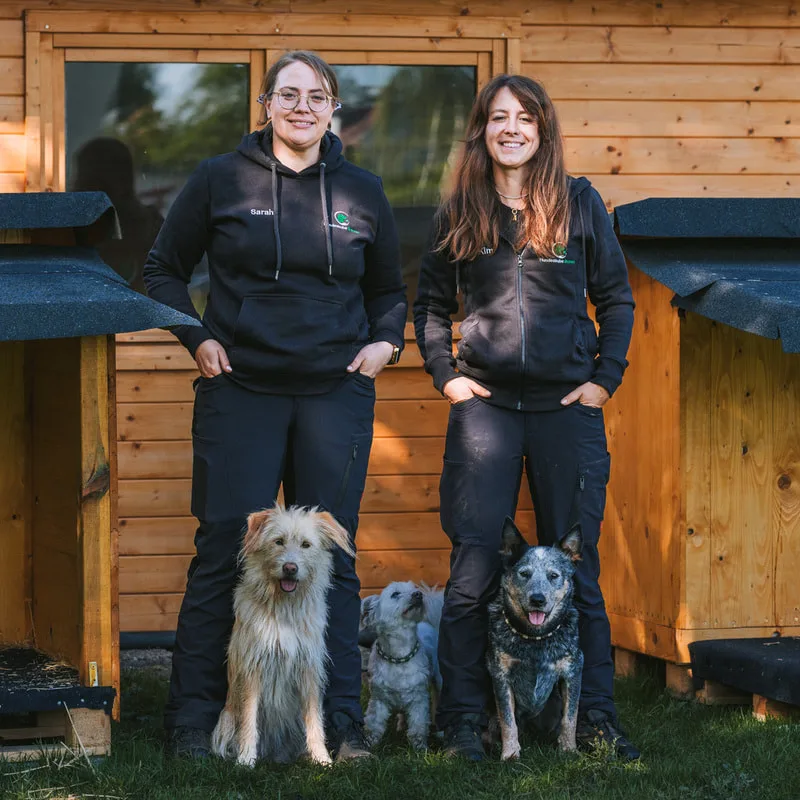 Hunde beim entspannten Tag in der Hundestube Bremen